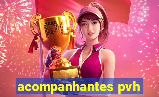 acompanhantes pvh