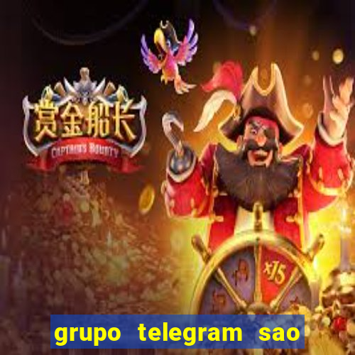 grupo telegram sao jose do rio preto