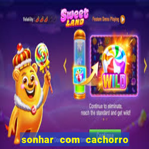 sonhar com cachorro numeros da mega sena