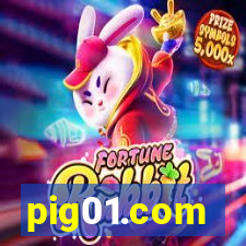 pig01.com