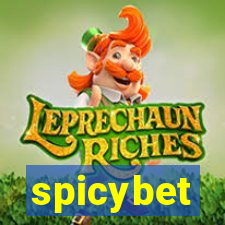 spicybet-1.com